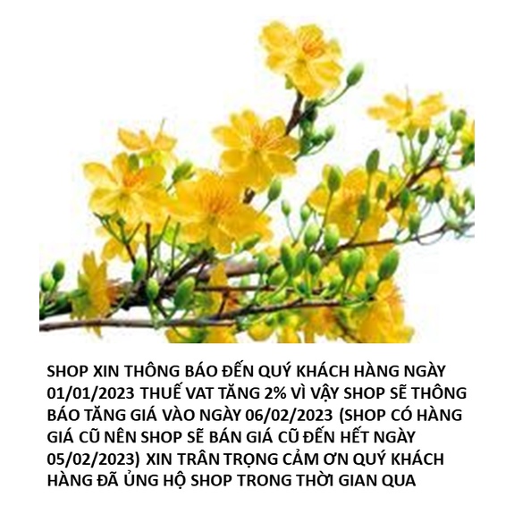 Mì chay lá bồ đề  DATE MỚI - Vegetarian Instant Noodle "Bohdi leaf" brand