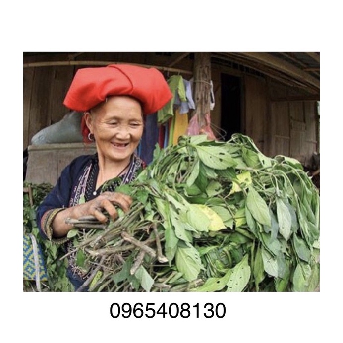 [Freeship] Lá Tắm Dao Đỏ Loại 1 , Của vùng Tây Bắc Lai Châu