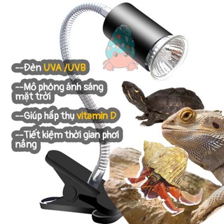 Đèn sưởi UVA UVB chống cháy có công tắc xoay cho ốc mượn hồn, rùa, thằn lằn, chim, chuột 25W/50W
