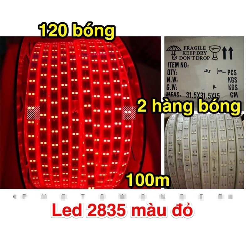 Dây Led 2 hàng bóng 2835 1 màu 1 cuộn 100m dán hắt trần thạch cao, trang trí cây.. ánh sáng vàng nắng, xanh lá…