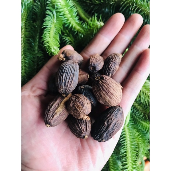 Thảo Quả Khô Tây Bắc