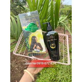 Dầu gội thanh mộc hương 350g