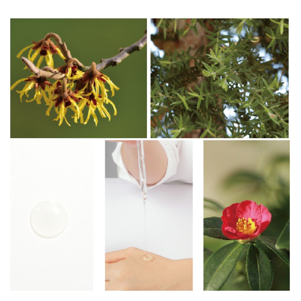 Tinh chất serum APLB chiết xuất collagen - Collagen Ampoule Serum 50ml