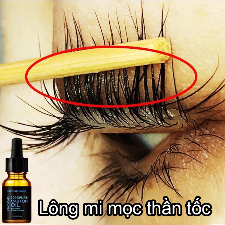 Tinh chất dài mi tự nhiên tinh chất dầu thầu dầu làm dày mi cong mi, huyết thanh mọc lông mày, nuôi dưỡng lông mi phát