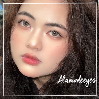 Lens nâu xám nước [Full cận]
