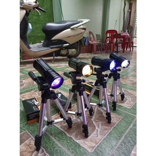Đèn soi phao 4 màu 3 chế độ cao cấp, Giảm tỉ lệ cá chạy sale giá rẻ - Đèn soi phao giá rẻ