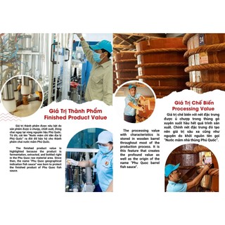 Khô cá mối Phú Quốc - Thanh Quốc
