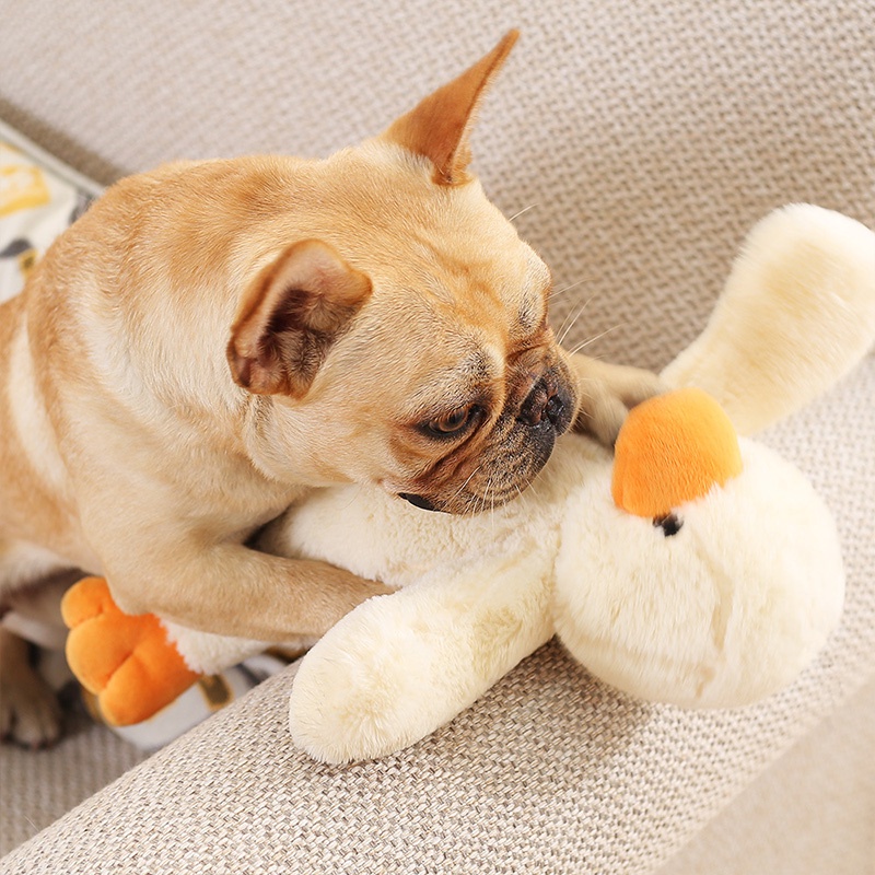 Đồ Chơi Nhồi Bông Hình Cá Ngựa Dễ Thương Cho Thú Cưng
