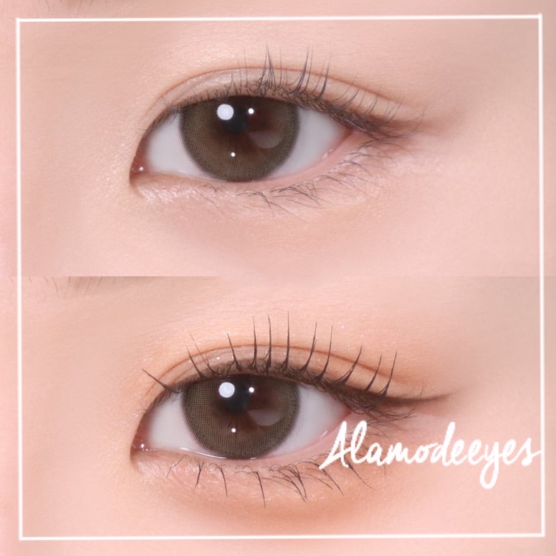 Lens xám nâu trong