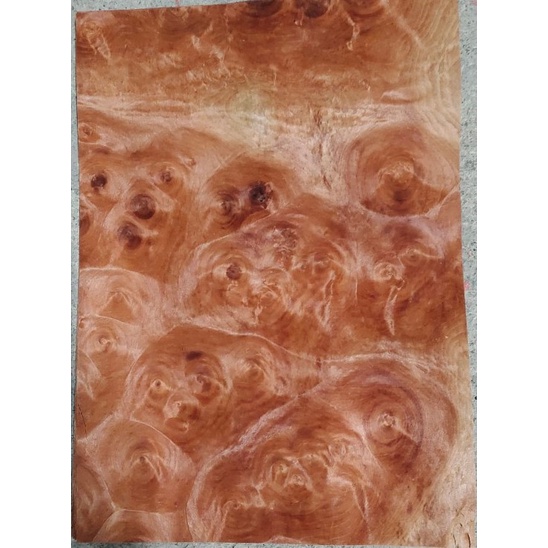 Ván lạng veneer Nurl Thông đỏ QC 0.6x220x310mm làm đồ trang trí, handmade, dán thùng loa.