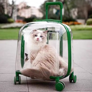 Hình ảnh Vali kéo vận chuyển chó mèo, tặng đệm túi xách vận chuyển thú cưng có bánh kéo tiện lợi - 4pets official