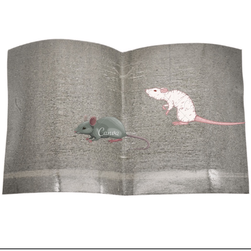 Miếng keo dính chuột/ Keo dán chuột siêu dính , an toàn không độc hại, sản phẩm hữu hiệu