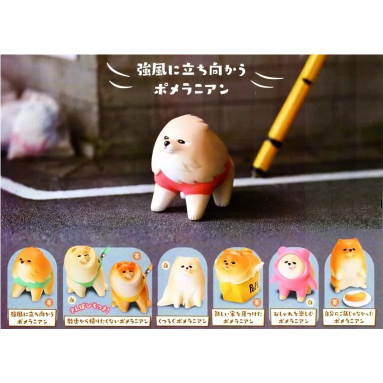 Mini figure chó Pomeranian quậy dễ thương đồ trang trí phòng