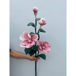 MỘC LAN ĐẠI 2 Nụ 2 Bông