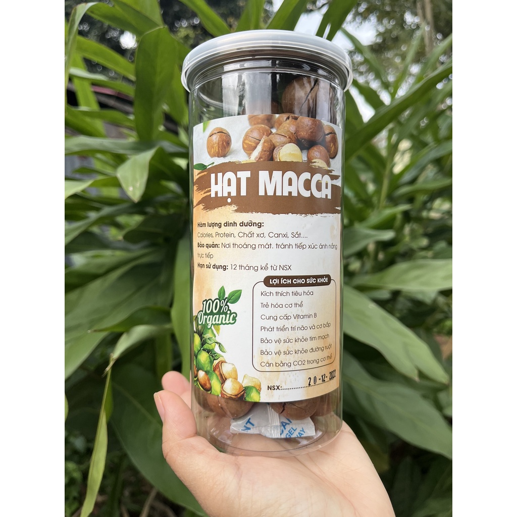 500g Hạt Macca Gia Lai (hạt mắc ca)