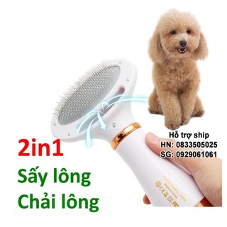 Máy Sấy Lông Cho Thú Cưng, Lược Chải Lông Cho Chó Mèo 2 in 1