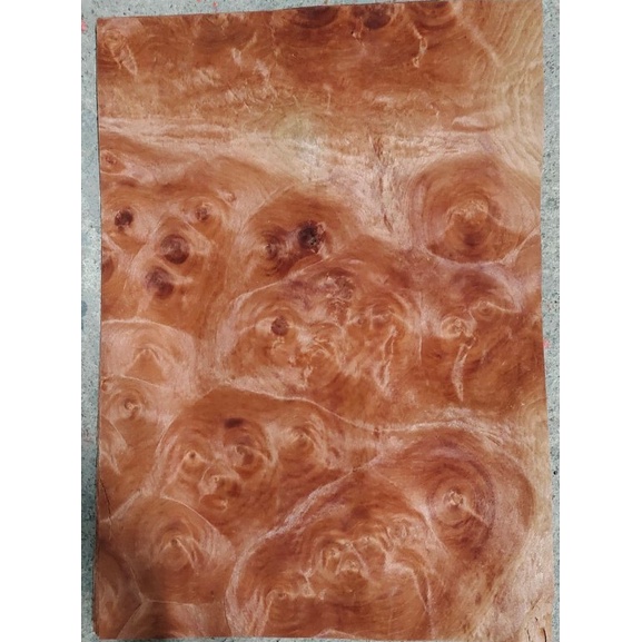 Ván lạng veneer Nurl Thông đỏ QC 0.6x220x310mm làm đồ trang trí, handmade, dán thùng loa.