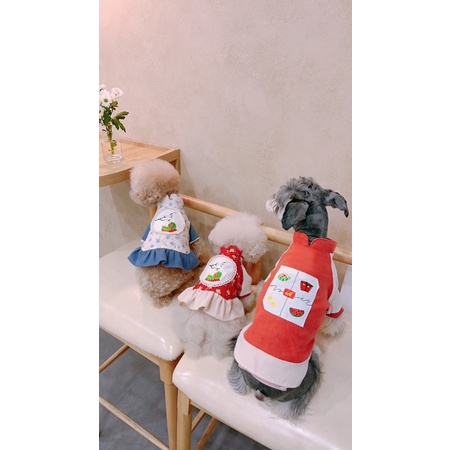ÁO DÀI TẾT 🧧🧧🧧 (Quần áo thú cưng)