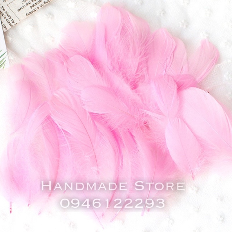 Lông vũ nhiều màu  🌈🌈🌈🌈