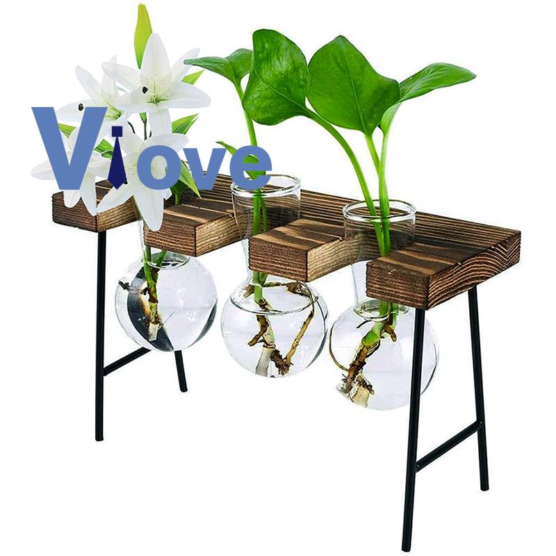 Chậu Trồng Cây Thủy Tinh Kèm Giá Đỡ Gỗ 3 Bóng Đèn Độc Đáo Trang Trí Nhà Cửa / Văn