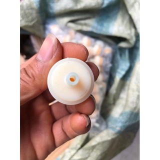 CỐC LỌC XĂNG XE SỐ