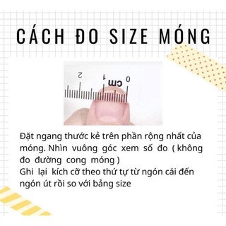 Nailbox Thiết Kế