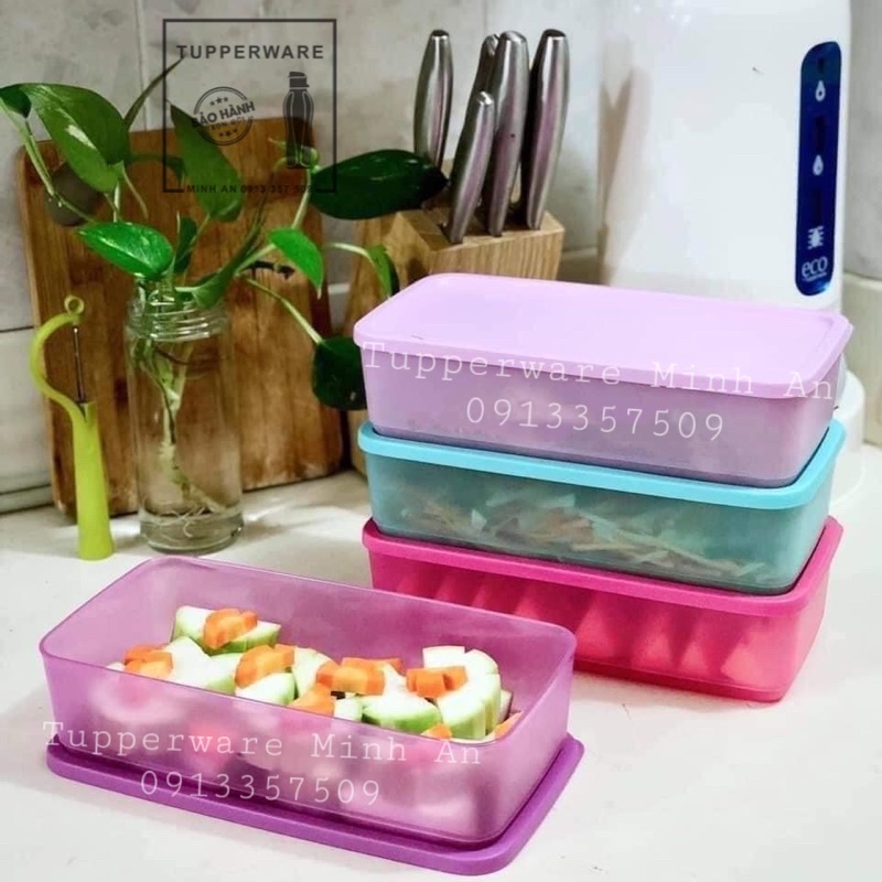 Hộp Bảo Quản Thực Phẩm Pak N Stor