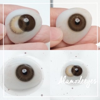 Lens nâu mix xám [ full cận ]