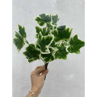 Lá cây nhỏ