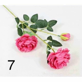 hoa trà 2 bông 1 nụ hàng đẹp.
