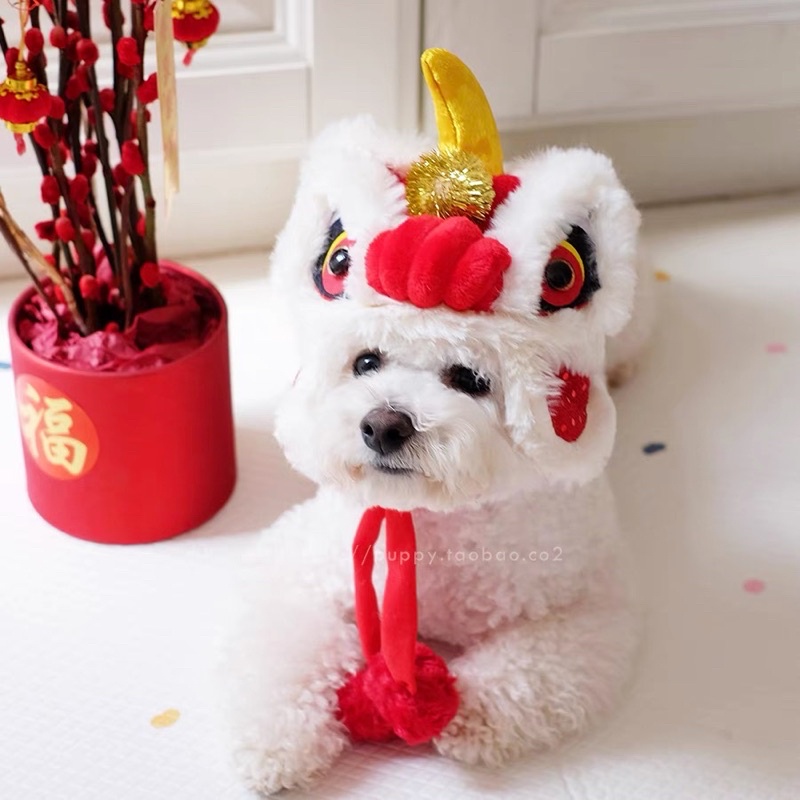 Mũ lân dành cho thú cưng