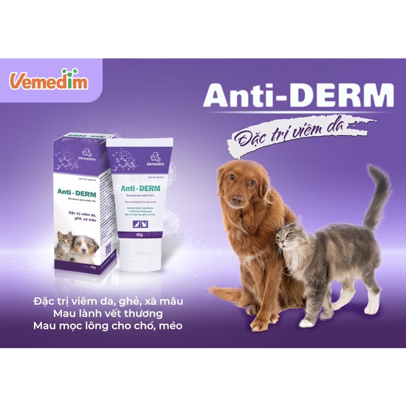 Anti derm kem bôi viêm da, ghẻ, xà mâu ở chó mèo
