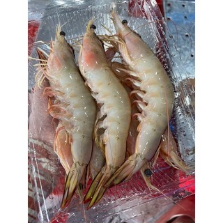 Tôm bạc biển thiên nhiên - 0.5kg