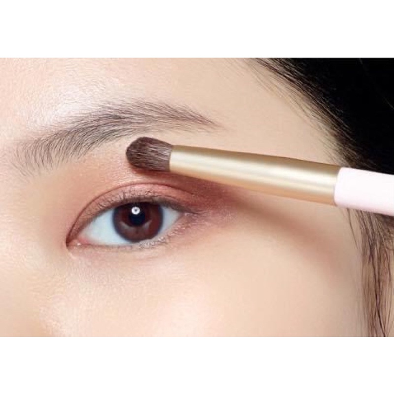 CỌ PHẤN MẮT ETUDE HOUSE MY BEAUTY TOOL BRUSH EYESHADOW POINT