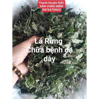 Lá đắng rừng