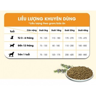 [40g- GIFT] THỨC ĂN HẠT CHO CHÓ DOG MANIA