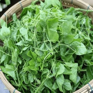 1kg Đọt Chùm Bao tươi (Ngọn non cây Lạc Tiên tươi)