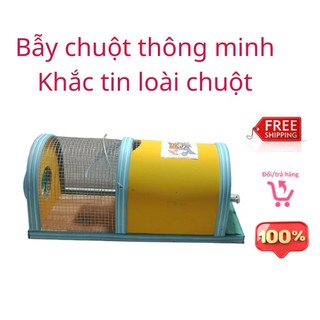 Combo Bẫy chuột thông minh 02 cái loại trung
