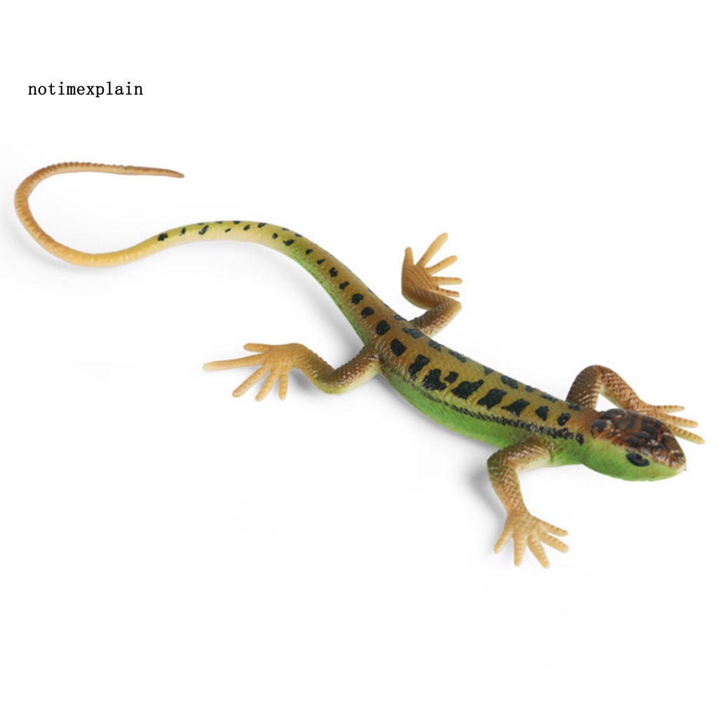 Thằn Lằn Giả Nhiều Màu Trang Trí Nhà Cửa