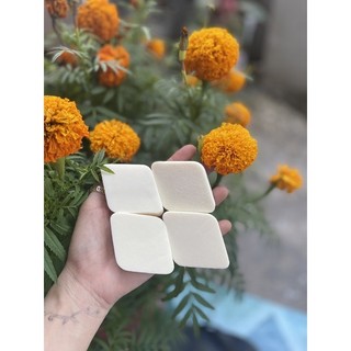 Bông Mút đánh kem nền