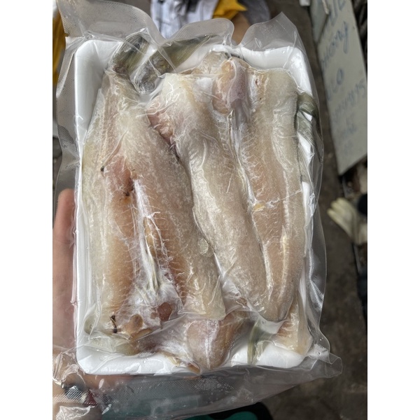 Cá mối xẻ 1 nắng 💥 THƠM NGON💥 1kg chiên , kho