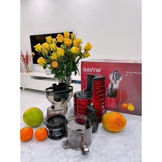 Máy ép chậm công nghiệp SAVTM je31