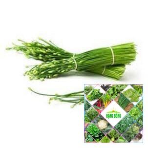 5 GRAM HẠT GIỐNG RAU HẸ BÔNG