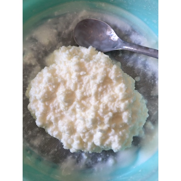 Kefir Grain Nấm sữa kefir làm sữa chua Kefir 5gr
