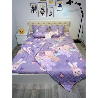 Bộ Ga Gối Poly Hàn 1m6x2m,có 50 mẫu lựa chọn