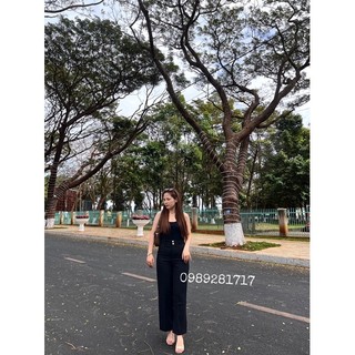 QUẦN TÂY ỐNG SUÔNG