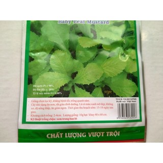 Hạt giống Cải Ăn Non gói 20gr
