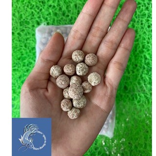 Sứ Lọc Bi Đức cho bể cá cảnh 1Kg - Sẵn Túi Như Hình