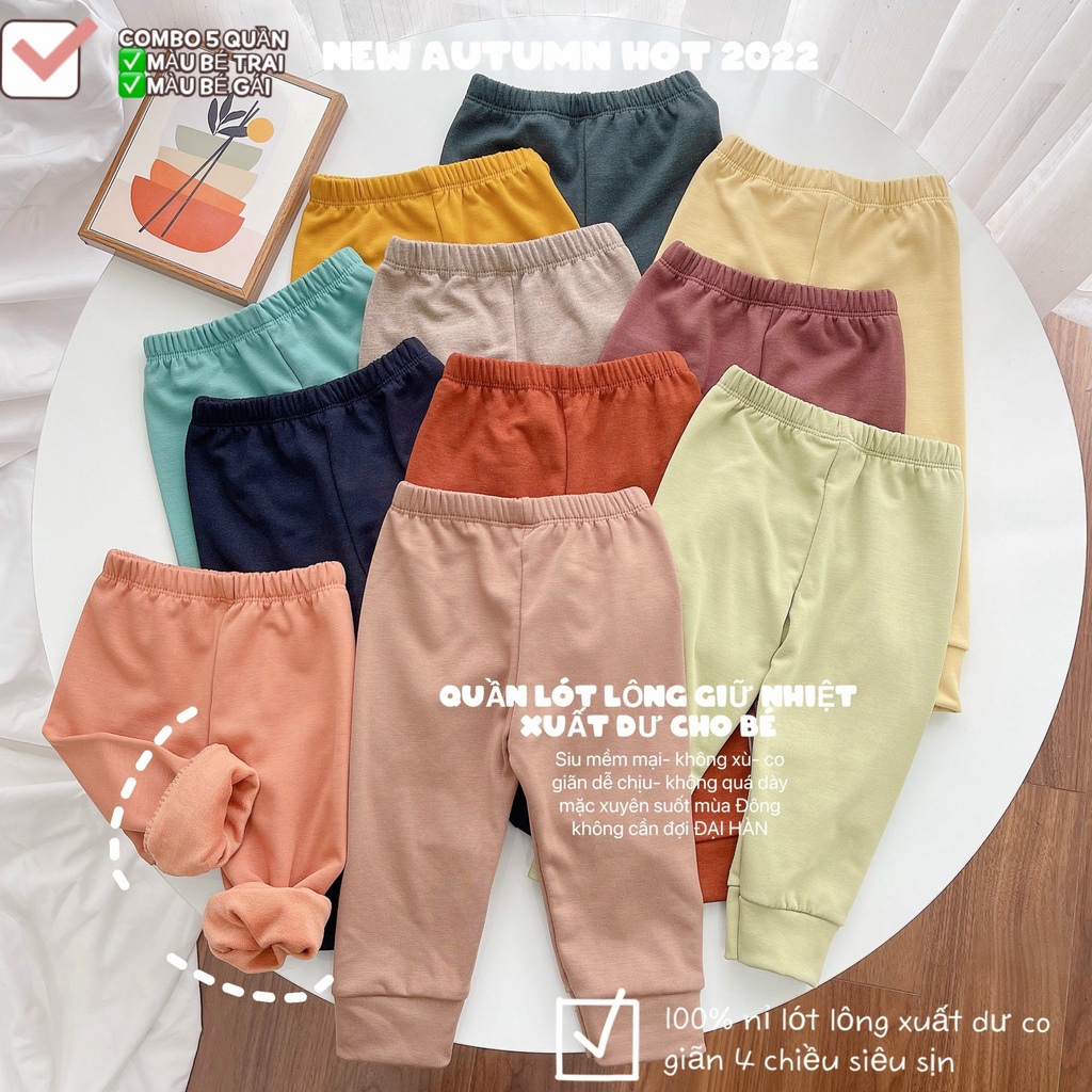 SET 5 QUẦN LÓT LÔNG BO GẤU XUẤT DƯ ẤM ÁP CHO BÉ