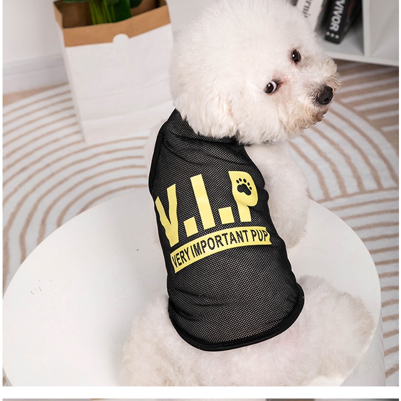 Áo Thun Lưới Mùa Hè Mát Mẻ Cho Chó Shih Tzu